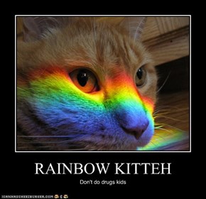 RAINBOW KITTEH