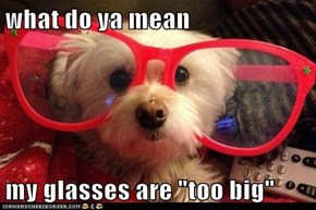what do ya mean  my glasses are "too big"