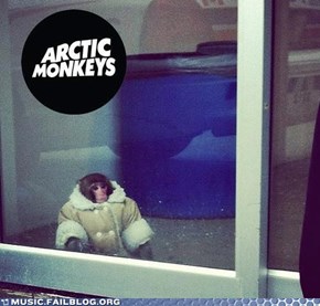 Ikea Monkey Never Gets Old in My Book