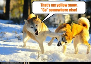 Beware the yellow snow