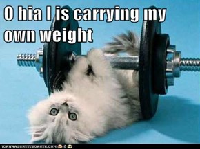 O hia I is carrying my own weight