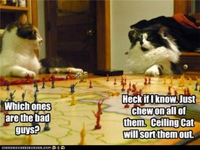 The Kitteh Crusades