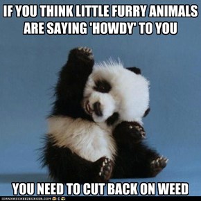 IF YOU THINK LITTLE FURRY ANIMALS ARE SAYING 'HOWDY' TO YOU