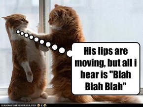 His lips are moving, but all i hear is "Blah Blah Blah"