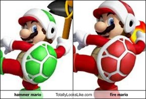 hammer mario Totally Looks Like fire mario