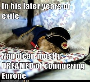 In his later years of exile  Napolean mostly DREAMED of conquering Europe