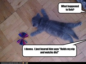 What happened to Bob?