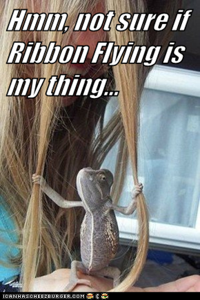 Hmm, not sure if Ribbon Flying is my thing...