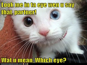 Look me in ta eye wen u say that, partner!  Wat u mean, Which eye?