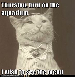 Thurston, turn on the aquarium  I wish to see the menu
