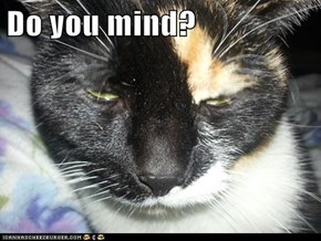 Do you mind?