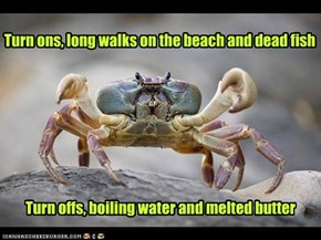 Turn ons, long walks on the beach and dead fish