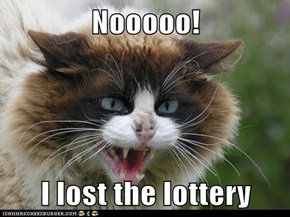 Nooooo!  I lost the lottery