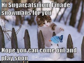 Hi Sugarcatsmom I made snowmans for you  Hope you can come out and play soon