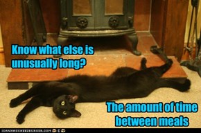Know what else is unusually long?