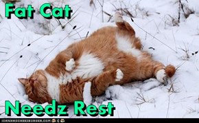 Fat Cat  Needz Rest