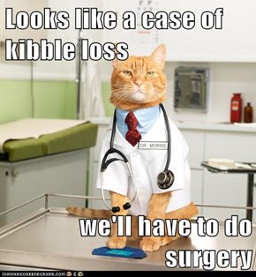 Looks like a case of kibble loss  we'll have to do surgery