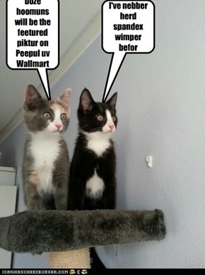 Doze hoomuns will be the feetured piktur on Peepul uv Wallmart