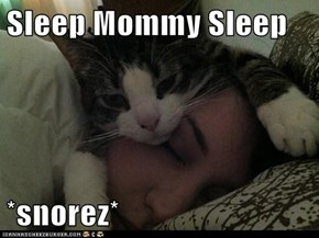 Sleep Mommy Sleep  *snorez*