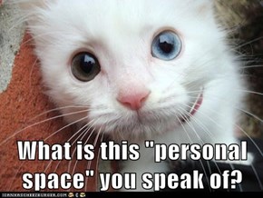 What is this "personal space" you speak of?