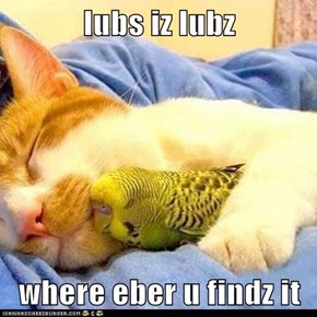 lubs iz lubz  where eber u findz it