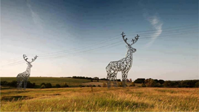 Power Lines WIN