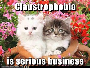 Claustrophobia  is serious business
