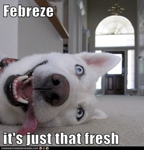 Febreze  it's just that fresh