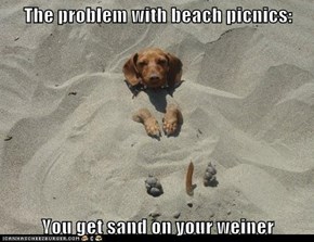The problem with beach picnics:  You get sand on your weiner