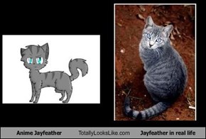 Anime Jayfeather Totally Looks Like Jayfeather in real life