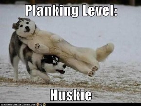 Planking Level:   Huskie