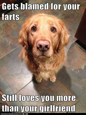 Gets blamed for your farts  Still loves you more than your girlfriend