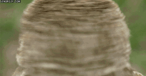 Deal With It