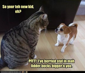 So yoor teh new kid, eh?