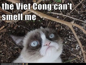 the Viet Cong can't smell me