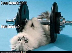 I can bench 250! How bout u?