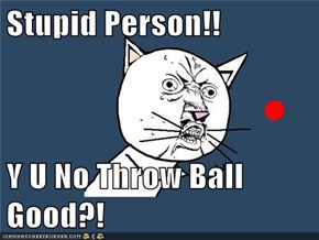 Stupid Person!!  Y U No Throw Ball Good?!