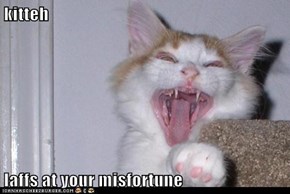 kitteh  laffs at your misfortune