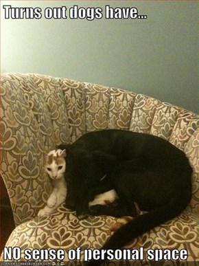 Turns out dogs have...  NO sense of personal space