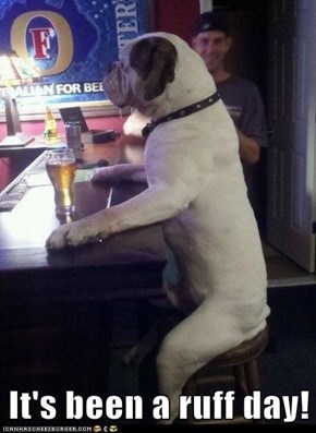 It's been a ruff day!