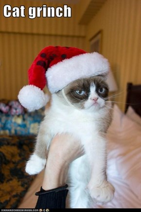 Cat grinch
