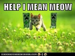 HELP I MEAN MEOW