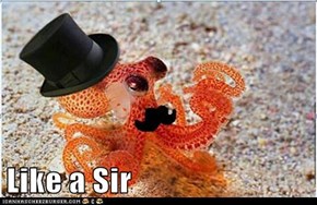 Like a Sir