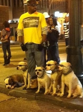 Who Let the Dogs Out?