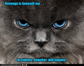 Revenge is beneath me.
