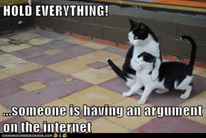 HOLD EVERYTHING!  ...someone is having an argument on the internet
