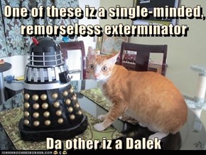 One of these iz a single-minded, remorseless exterminator  Da other iz a Dalek