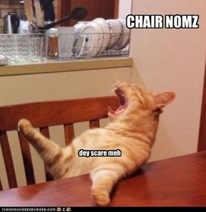 CHAIR NOMS