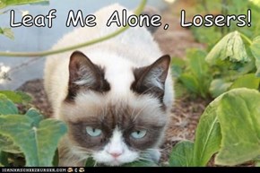 Leaf Me Alone, Losers!