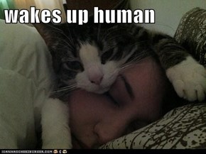 wakes up human